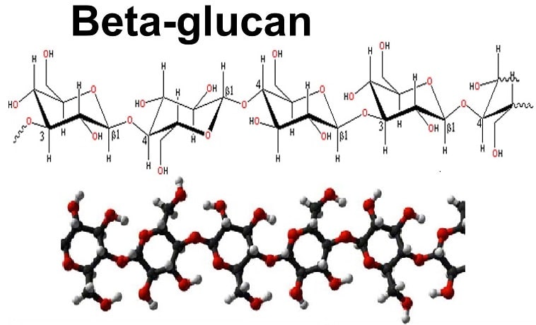 Beta Glucan là gì?