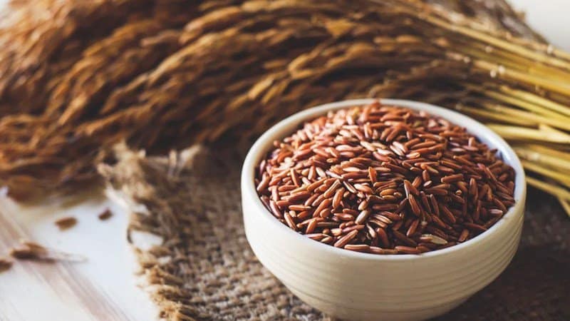 Các nguồn thực phẩm chứa Beta Glucan