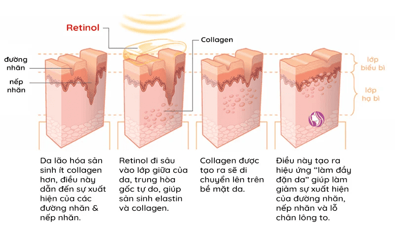 Cơ chế hoạt động