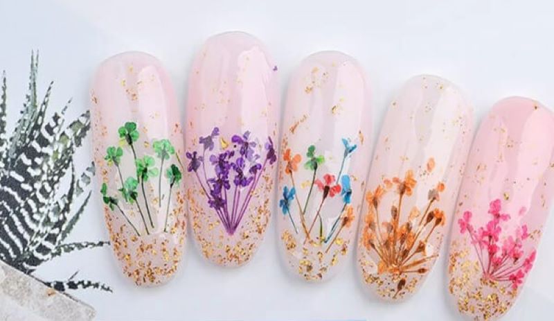 mẫu nail hoa cúc khô