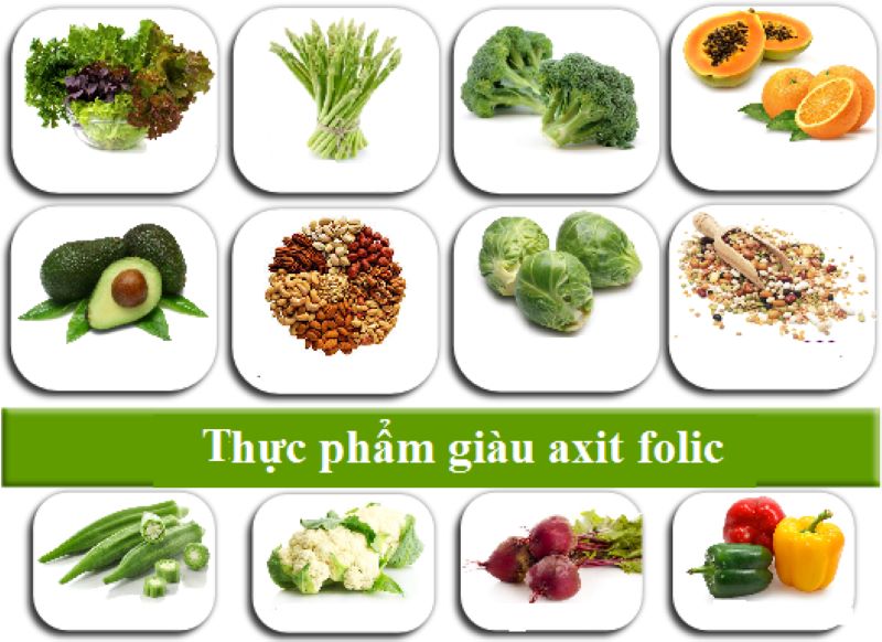  thực phẩm giàu acid folic 