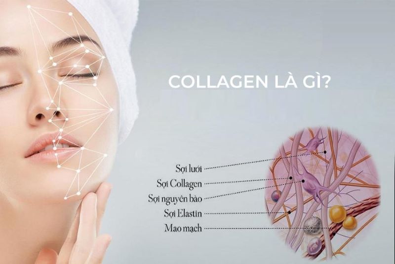  cách bổ sung Collagen đúng cách hiệu quả