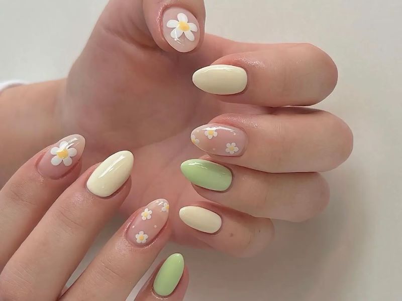 nail hoa cúc trắng nhiều màu