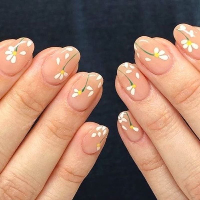 Mẫu nail hoa cúc trắng hoa lá 